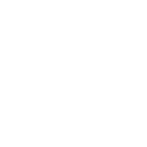 PDF Manager Icon